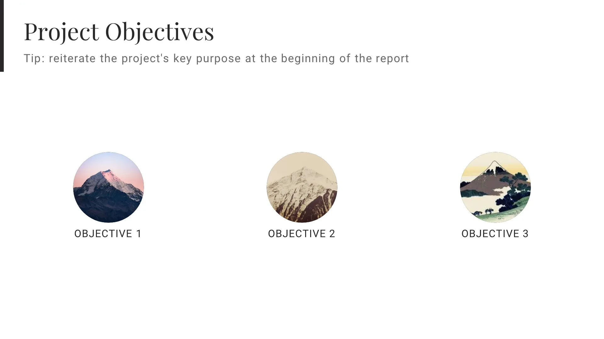Project Objectives